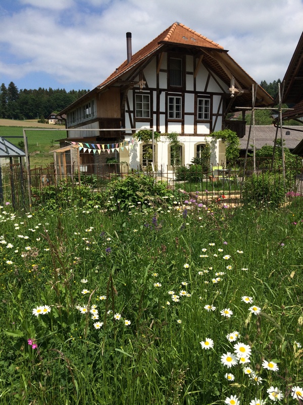 Gärten vor dem Haus