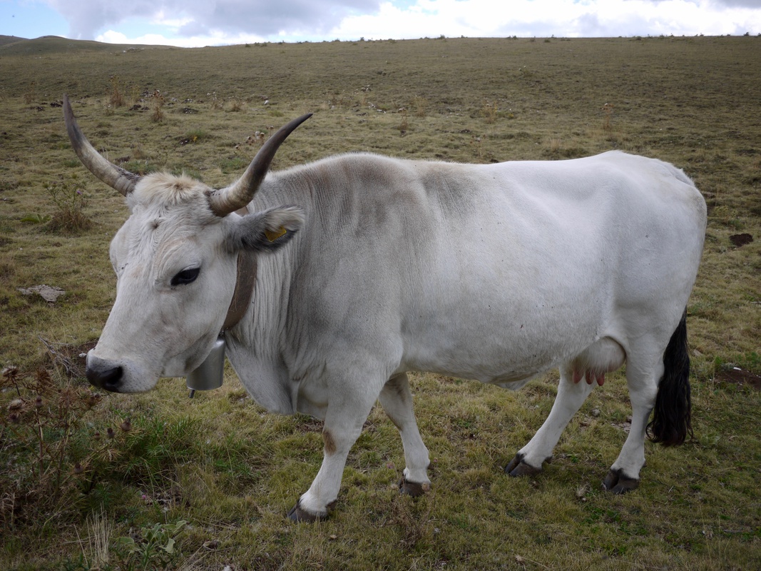 Italienische Reise – Gran Sasso